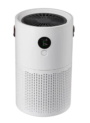 PureAir Portable Ion Purifier